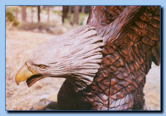 2-26 eagle with wings up, attached-archive-0003